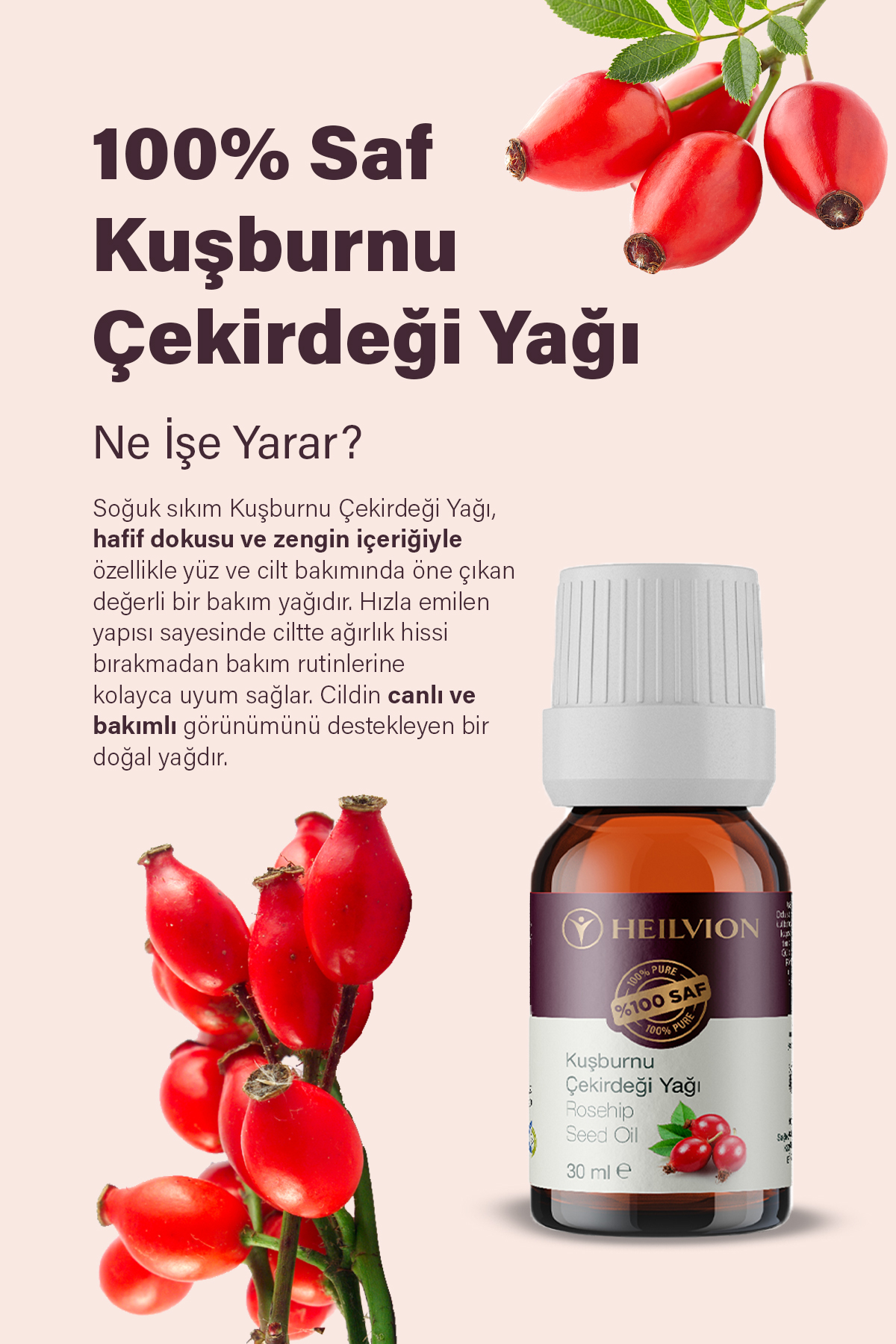 Kuşburnu_5
