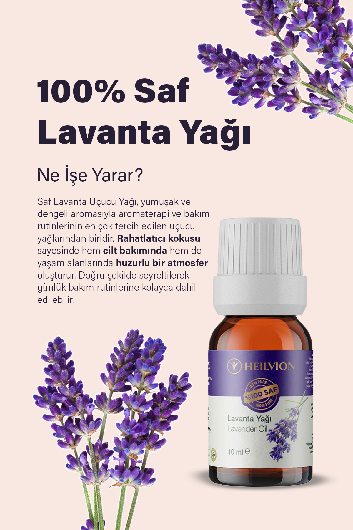 Lavanta_5