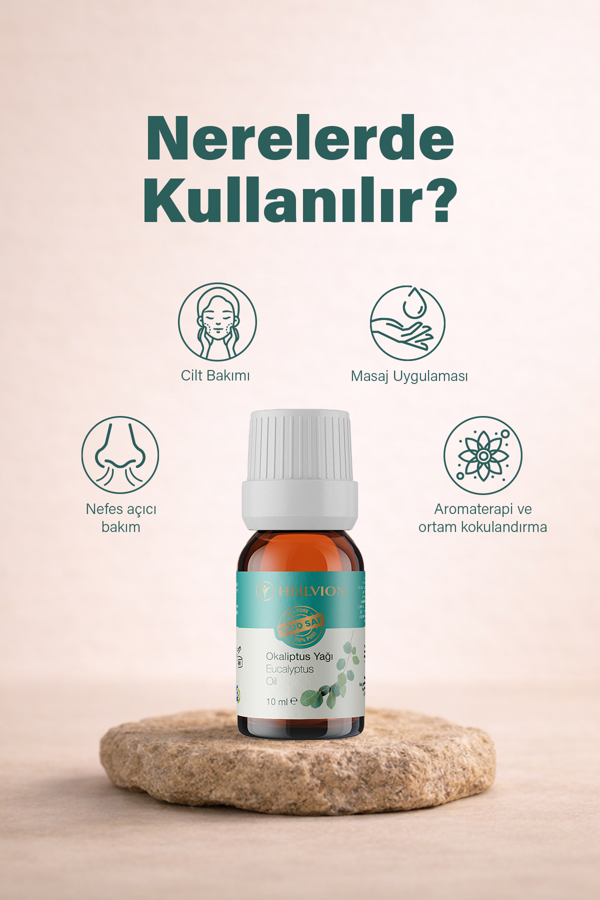 Okaliptus_2