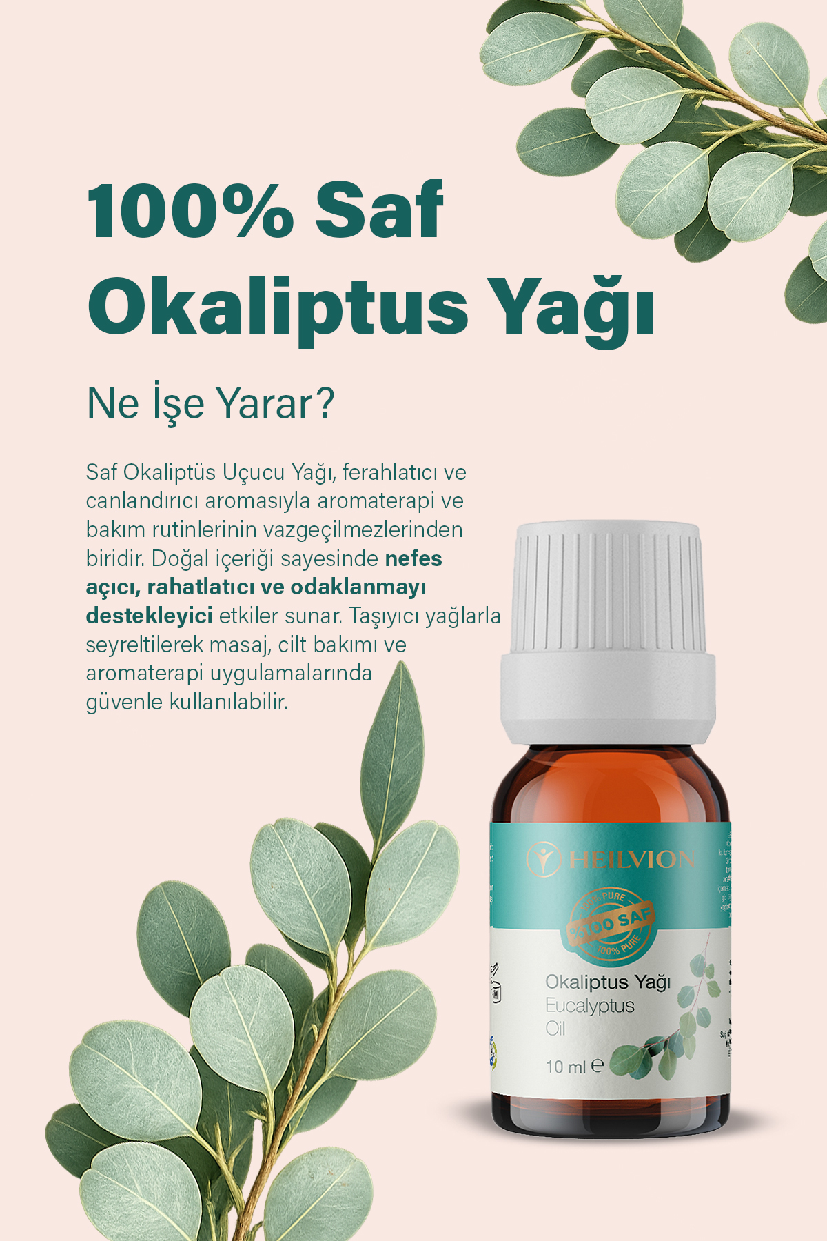 Okaliptus_5