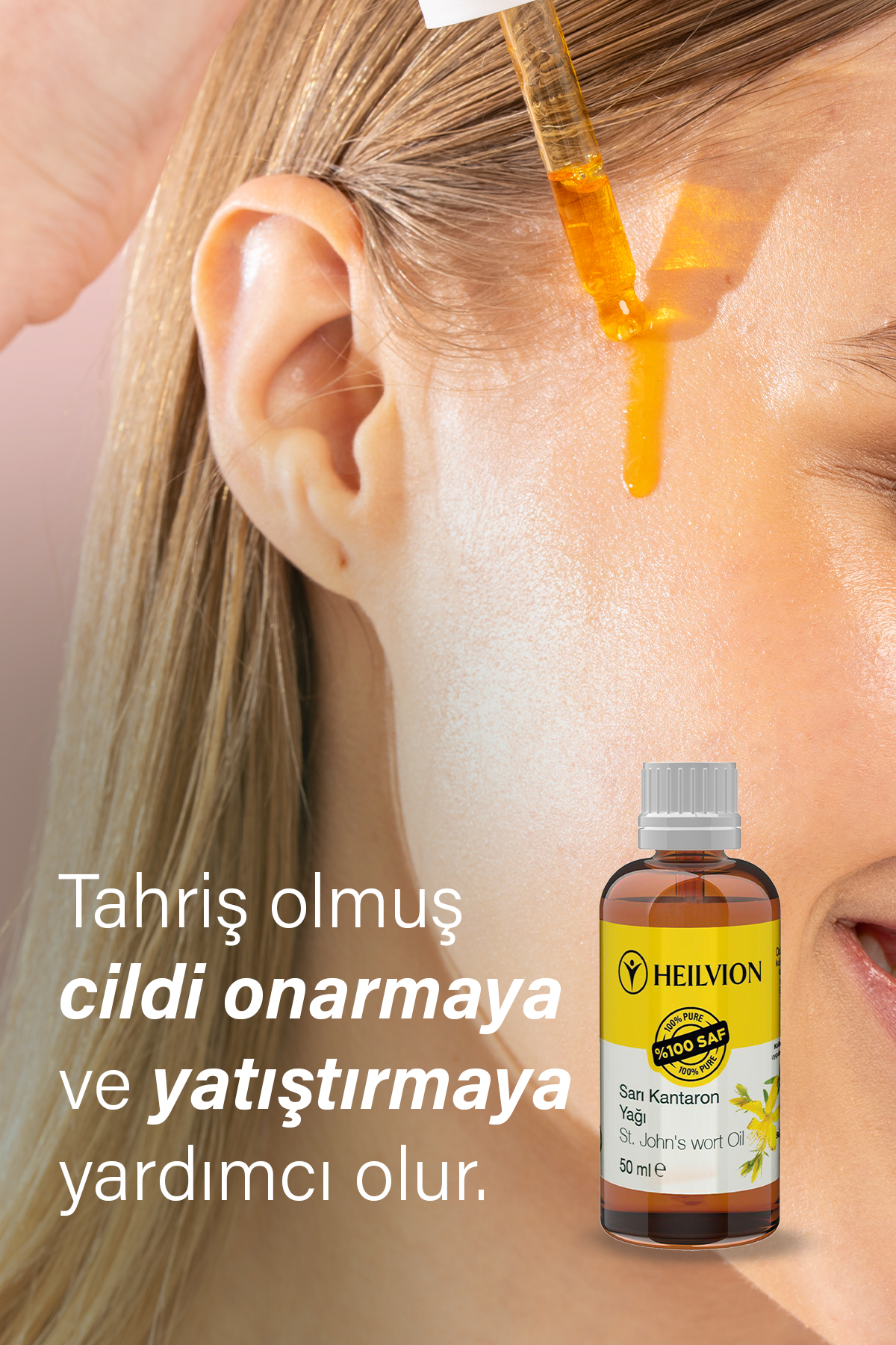 Sarı kantaron_6